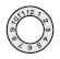 Convex Character Type Date Marked Pin Sets (Plate Side Exchange Type):Related Image