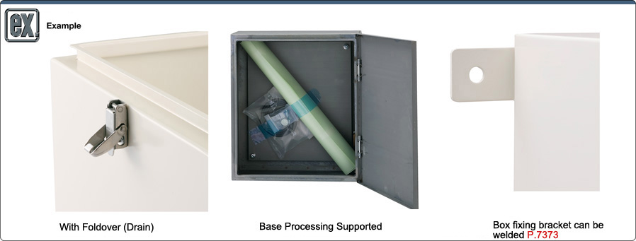 FSB Series Control Panel Box Configurable Size Standard Type: Related Image