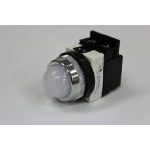 LED Pilot Light (IP65)