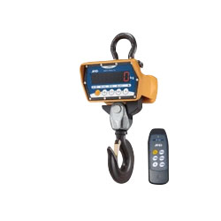 FJ-TiS Series Dust-Proof And Waterproof Crane Scale