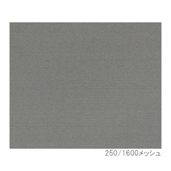 Stainless Steel Twill Mesh (SUS316)