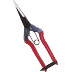 Bud Shears