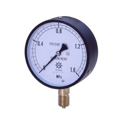 IPT General Pressure Gauge, Rimless Type (A)