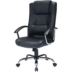 Business Chair (Genuine leather ) EA956XC-46