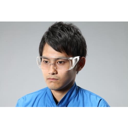 Protective Glasses (10 pcs.)