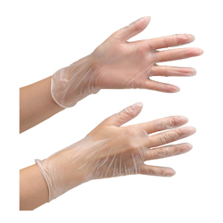 PVC Gloves Vertebrate 831 Powder-Free