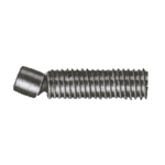 Socket Driven Swivel Screw