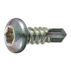 PAN Head DS Pias Screw