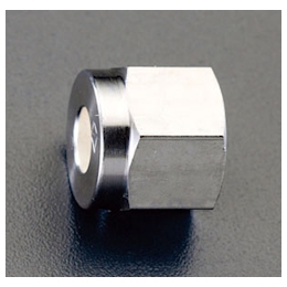 Cap Nut (Stainless Steel)