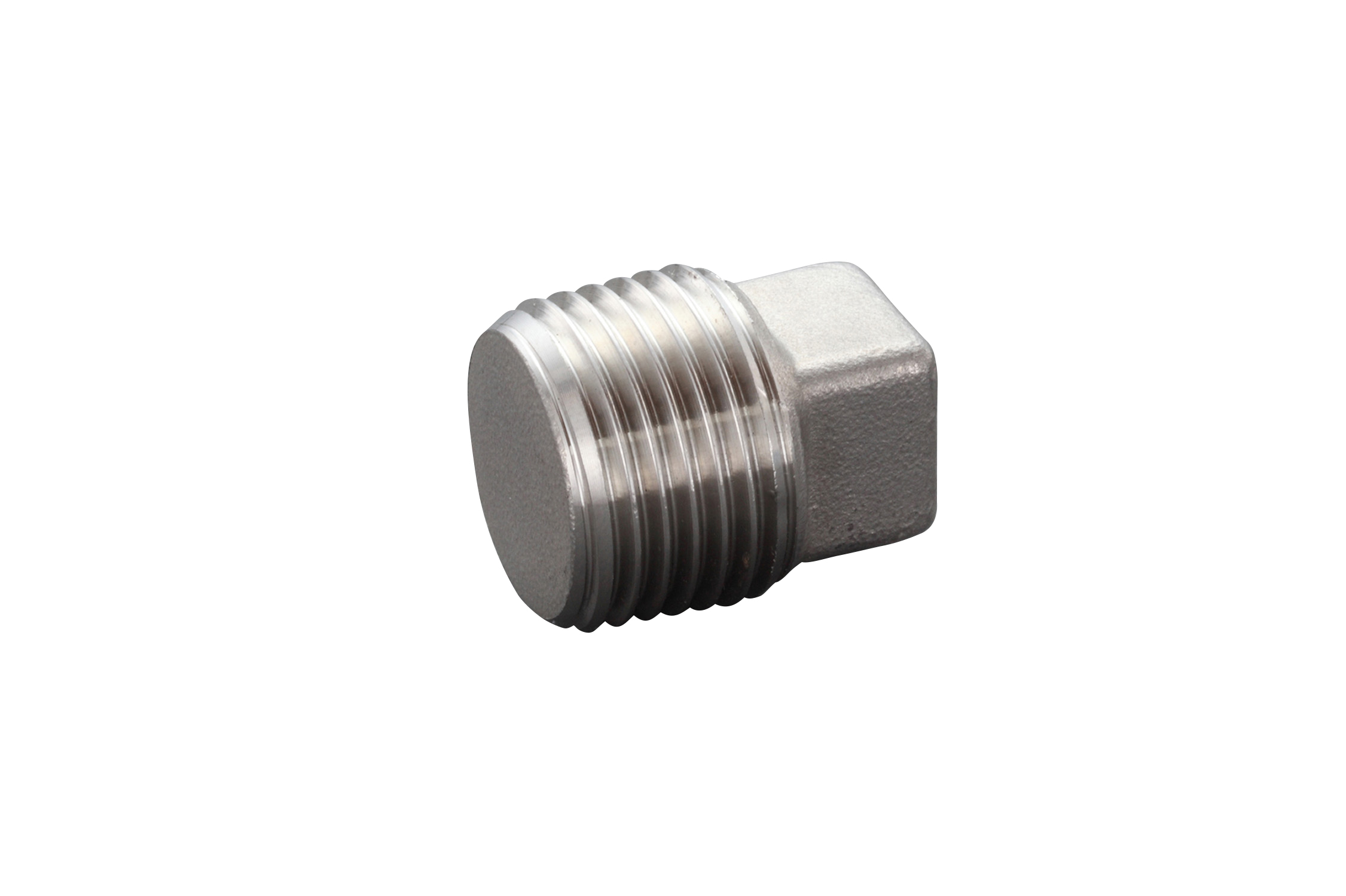 Plug (Stainless Steel)