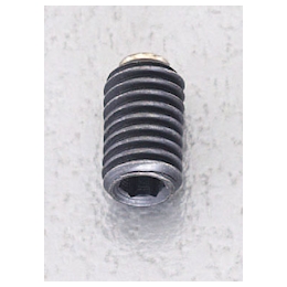 Set Screw with Hexagonal Hole (with Brass Pad) EA949DR-8