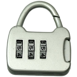 Petite Lock Square Bag