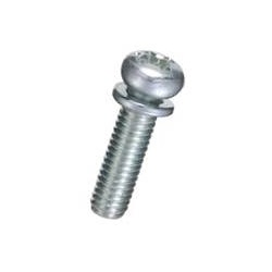 Steel Set Pan Head Screw (With SW), F-0000-SE