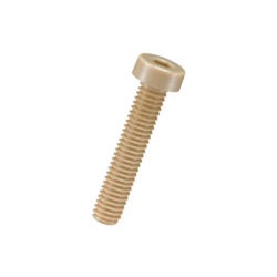 PEEK Hexagon Socket Low Head Bolt / PECL-0000