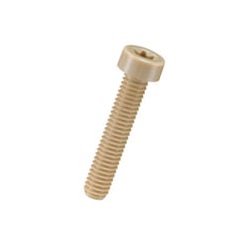 PEEK Low Head Bolt with Hexalobular Hole / PEHL-0000