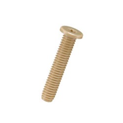 PEEK Extra Low Head Bolt with Hexalobular Hole / PEHS-0000