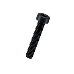 Reny Low Head Bolt with Hexalobular Hole / RYHL-0000