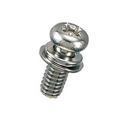 Brass Pan-Head Set Screw (With SW/PW) / B-0000-S1