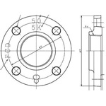 Ductile Screw-in Type Flange