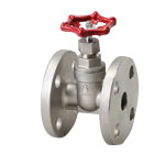 Gate Valve, H Series, 10K, Flanged