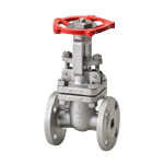 Gate Valve, S Series, 10K Type, Flanged