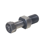 Roller Screw (RLB)