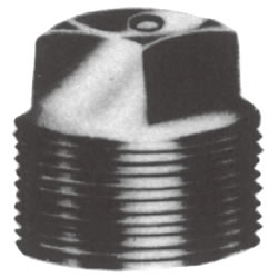 Screw-In PL Fitting, Plug