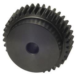 SS Spur Gear