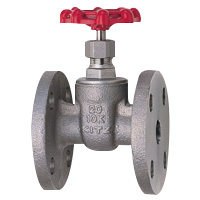 10K Gate Valve Flange, Stainless Steel, General-Purpose