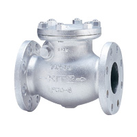 General Purpose Ductile Iron 10K Swing Check Valve Flange