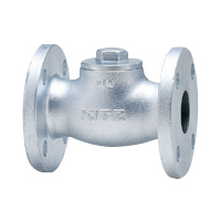 General Purpose Ductile Iron 10K Lift Check Valve Flange