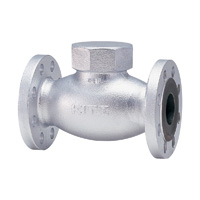 General Purpose Ductile Iron 20K Lift Check Valve Flange