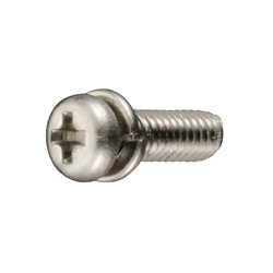 Screw with Washer (EMS)