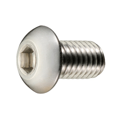 Hex Socket Button Head Cap Screw