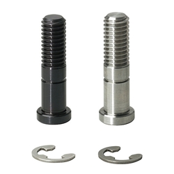 Bearing Shaft Screws with Retaining Rings - Screw Type