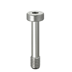 Cover Screws - Low Head