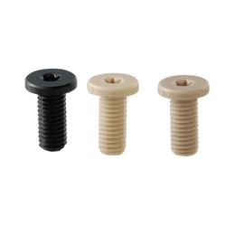 Plastic Screws/Extra Low Head/PEEK/PPS/RENY