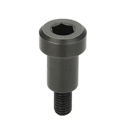 Bearing Shaft Screws