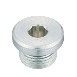 Flanged Hex Socket Head Screw Plug SPN-L