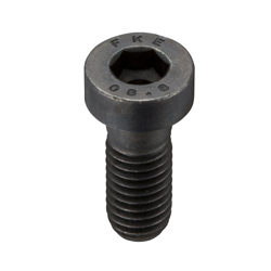 Socket Head Cap Screws With Low Profile (With Pilot Recess) SLP