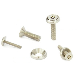 Flat Head Screw With Hexalobular Socket (With Pin) SRFXS