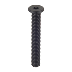 RENY (Glassfiber Reinforced Polyamide MXD6)/Ultra Low Head Bolt with Hexalobuler Hole