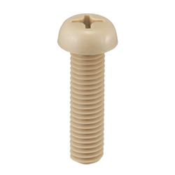 PEEK (Polyetheretherketone)/Pan Head Screw