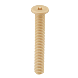 PPS (Polyphenylene Sulfide) / Hexalobular Socket Extra Low Head Cap Bolt