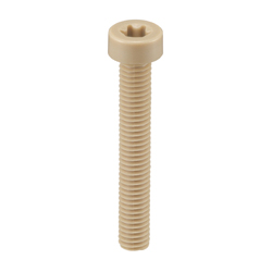 PEEK (Polyetheretherketone)/Low Head Bolt with Hexalobuler Hole