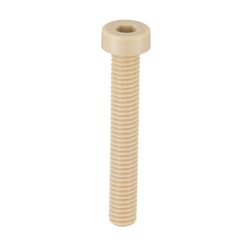 PEEK (Polyetheretherketone)/Low Head Bolt with Hexagonal Socket Head