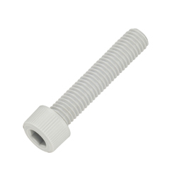 PVC (polyvinyl chloride) hexagon socket bolt