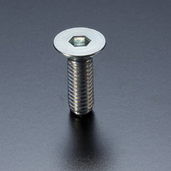 Hex Socket Flat Head Cap Bolt FCS Type