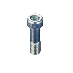 Hex Socket Special Material Head Cap Bolt