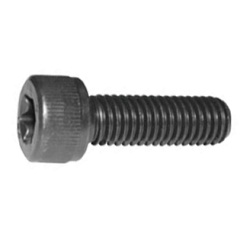 TORX Socket Head Cap Bolt (TORX Cap)